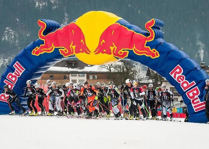 Emma 메이른호픈